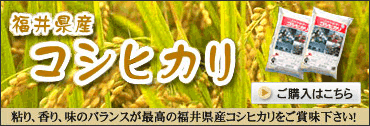 ���䌧�Y�R�V�q�J��