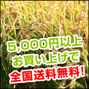 5,000�~�ȏエ�����グ�őS�����������I