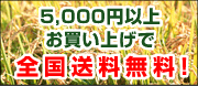 5,000�~�ȏエ�����グ�őS�����������I