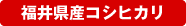 ���䌧�Y�R�V�q�J��
