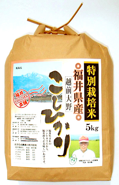 菖蒲池コシヒカリ