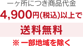 商品代金4,900円(税込)以上で送料無料