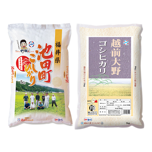 池田町産コシヒカリ5㎏と大野コシヒカリ5㎏ セット お取り寄せ通販