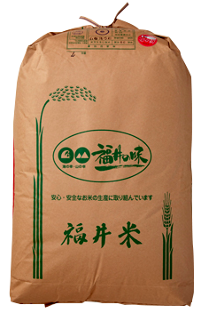 福井県産　令和3年度　コシヒカリ30kg 玄米