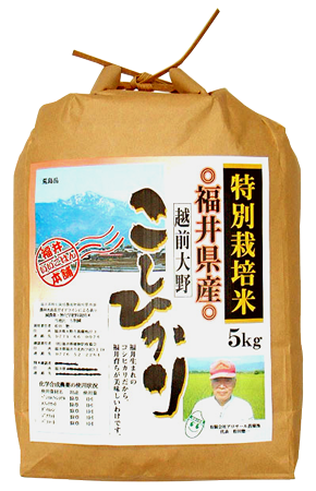 福井県産特栽菖蒲池コシヒカリ お取り寄せ通販