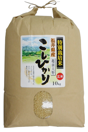 収穫前SALE✾令和④年産✾特別栽培米✾福井県産コシヒカリ✾玄米10㌔✾精米付✾