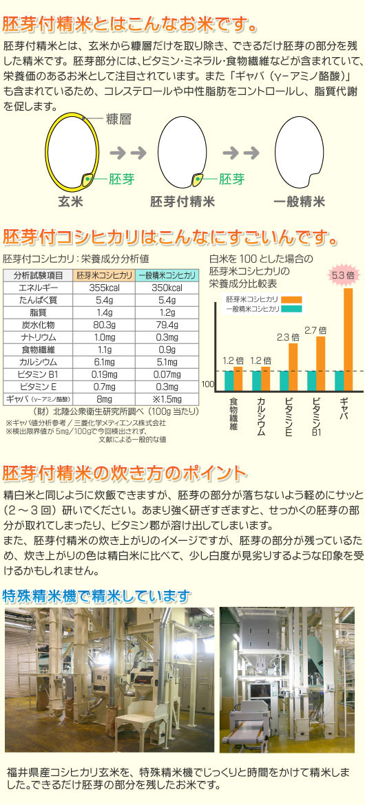 福井県産胚芽付コシヒカリ 令和６年産