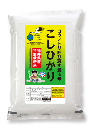 福井県産コウノトリ呼び戻す農法米こしひかり 令和5年産年産