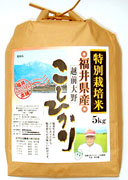菖蒲池コシヒカリ